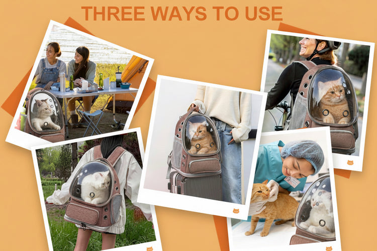 Collage of a pet carrier backpack used in various scenarios with text &