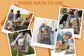 Collage of a pet carrier backpack used in various scenarios with text &