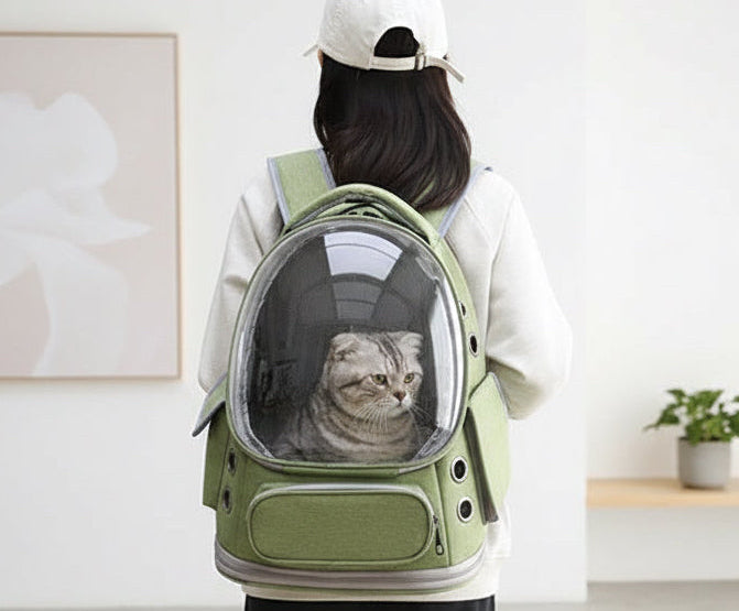 Person carrying a green pet backpack with a cat inside, walking outdoors. Pawsifypets 