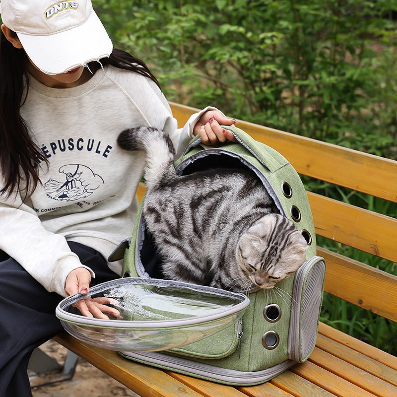 Person sitting on a bench with a cat in a green pet carrier, outdoors. Pawsifypets 