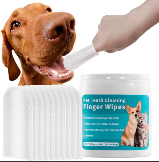 Pet Dental Wipes Lemon Flavor Finger Tooth Wipes for Dogs and Cats - PawsiFypets