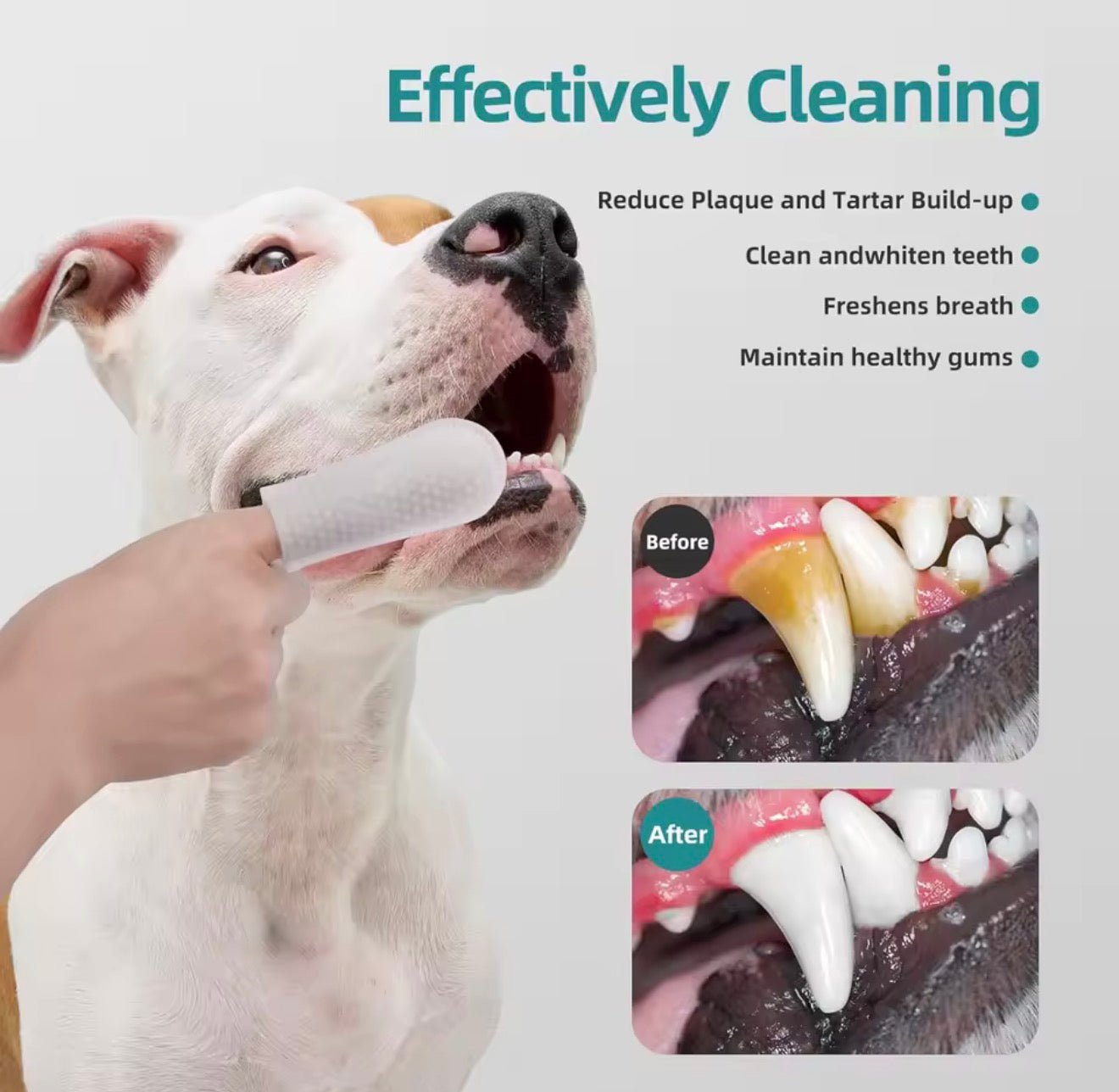 Pet Dental Wipes Lemon Flavor Finger Tooth Wipes for Dogs and Cats - PawsiFypets
