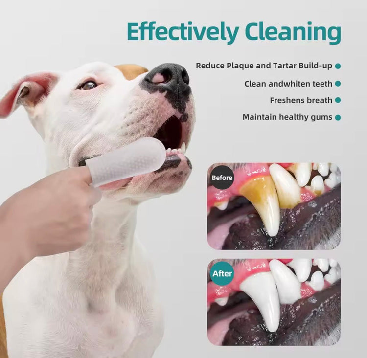 Pet Dental Wipes Lemon Flavor Finger Tooth Wipes for Dogs and Cats - PawsiFypets