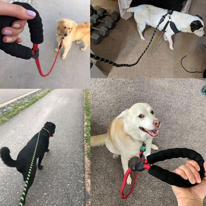 Glowing Dog Leash: for Nighttime Walks - PawsiFypets Pet traveling Essential - Black PawsiFypets