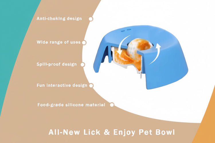 Pet bowl with features highlighted on a beige background Pawsifypets 