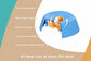Pet bowl with features highlighted on a beige background Pawsifypets 