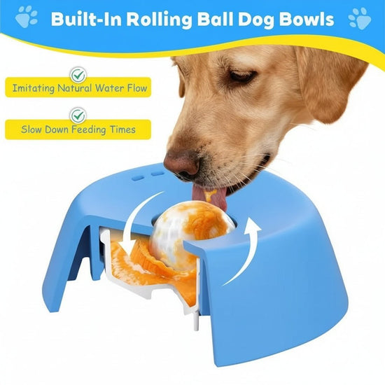 Pet Liquid Non - Slip Bone Broth Dog Licking Bowl - PawsiFypets