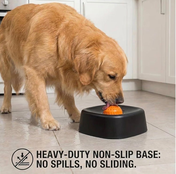 Dog drinking from a black bowl with an orange ball on a tiled floor.
