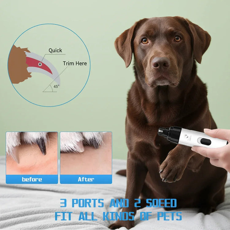Pet Nail Grinder – Safe, Low - Noise Electric Clipper for Dogs & Cats - PawsiFypets