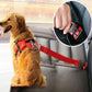 Dog wearing red harness secured with car seat belt on backseat, pet travel safety