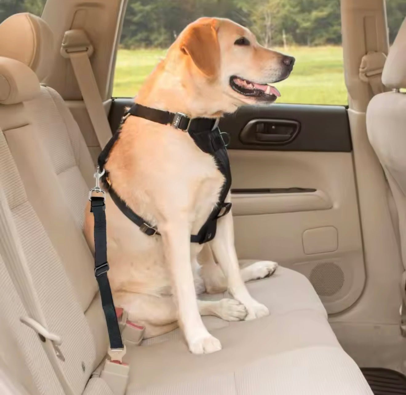 Pet Safety Dog Car Seat Belt - PawsiFypets