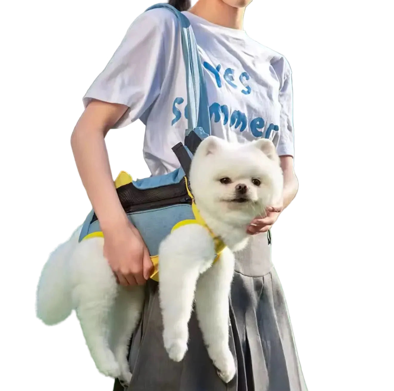 Pet Travel Backpack Carrier – Breathable Cat Carrier Backpack, Airline Approved Small Dog - PawsiFypets