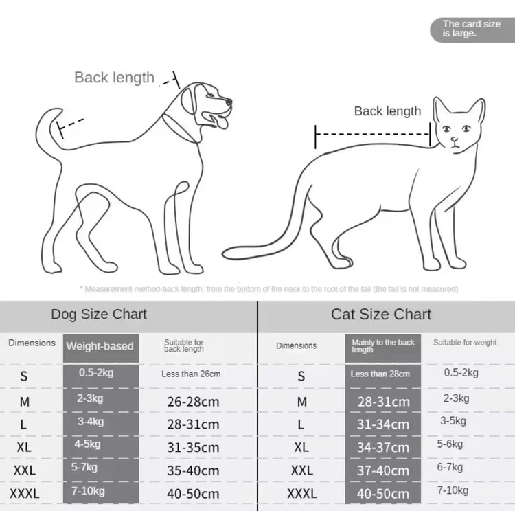Pet Travel Backpack Carrier – Breathable Cat Carrier Backpack, Airline Approved Small Dog - PawsiFypets