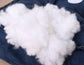 Soft white plush filling material displayed on a dark blue pet bed surface