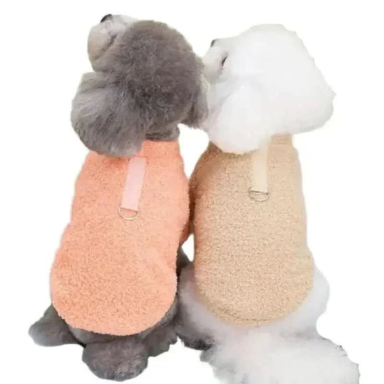 Two small dogs wearing plush velvet winter dog coats in peach and beige colors.