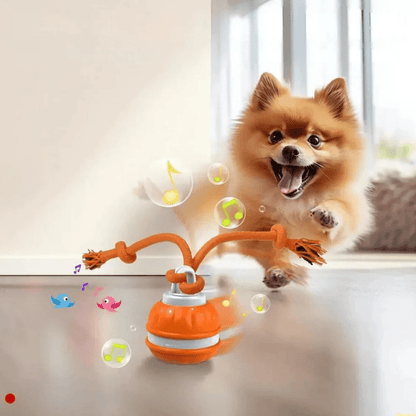 Premium Smart Interactive Pet Ball - PawsiFypets - Blue PawsiFypets