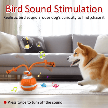 Premium Smart Interactive Pet Ball - PawsiFypets - Blue PawsiFypets