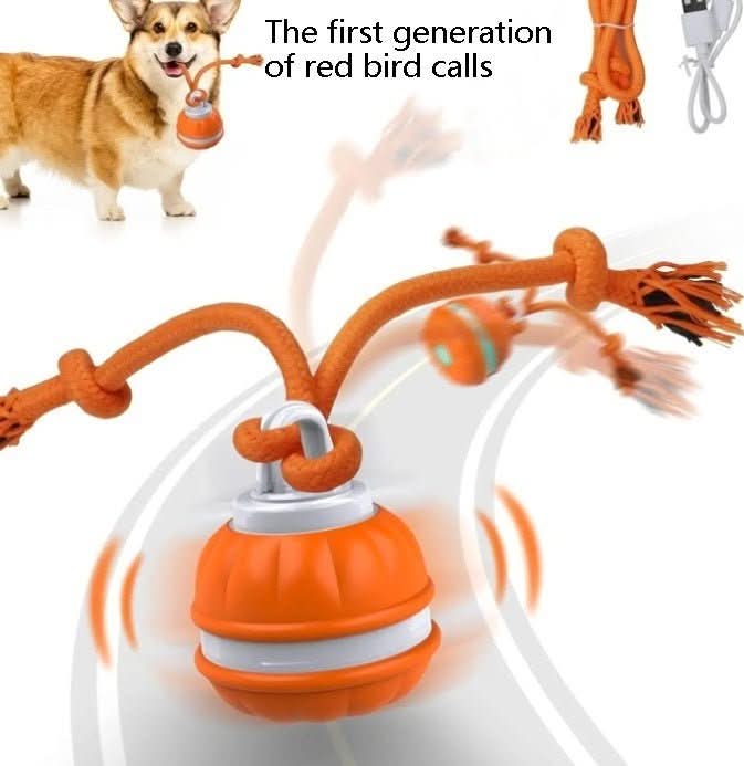 Premium Smart Interactive Pet Ball - PawsiFypets - Blue PawsiFypets