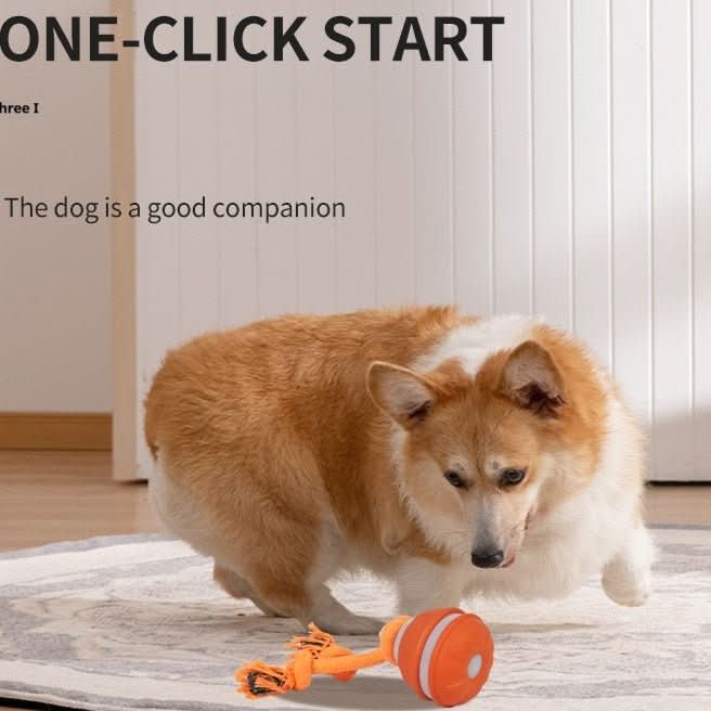 Premium Smart Interactive Pet Ball - PawsiFypets - Blue PawsiFypets