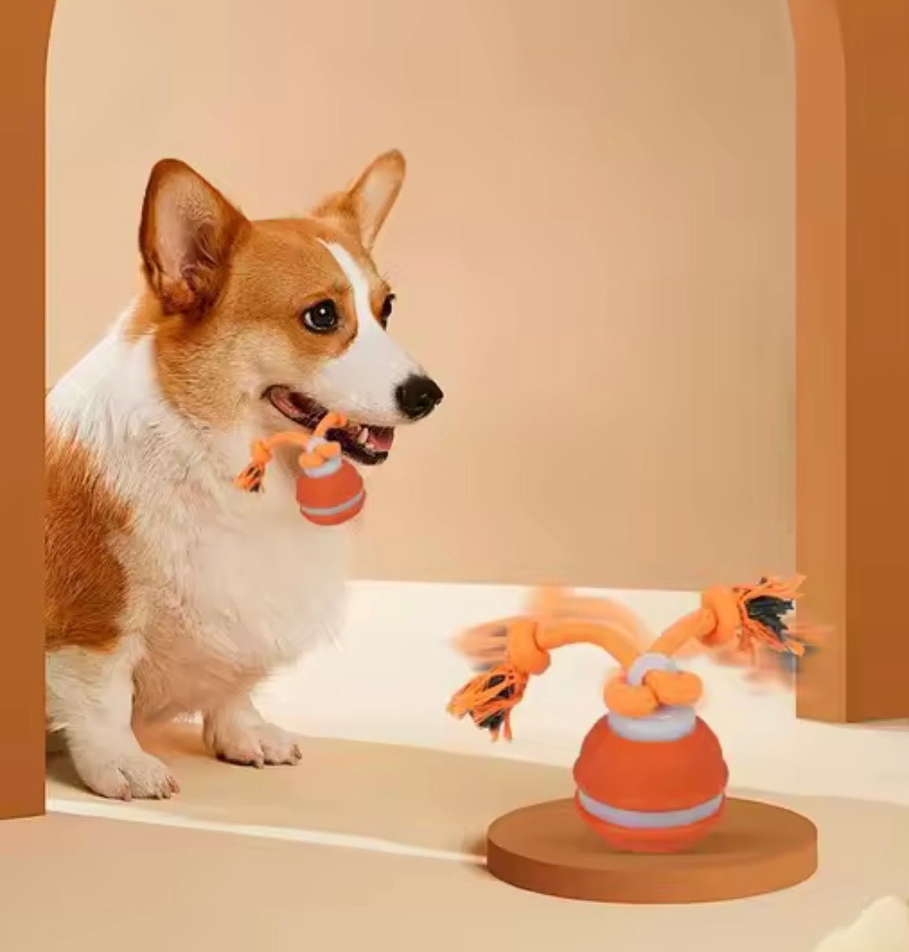 Premium Smart Interactive Pet Ball - PawsiFypets