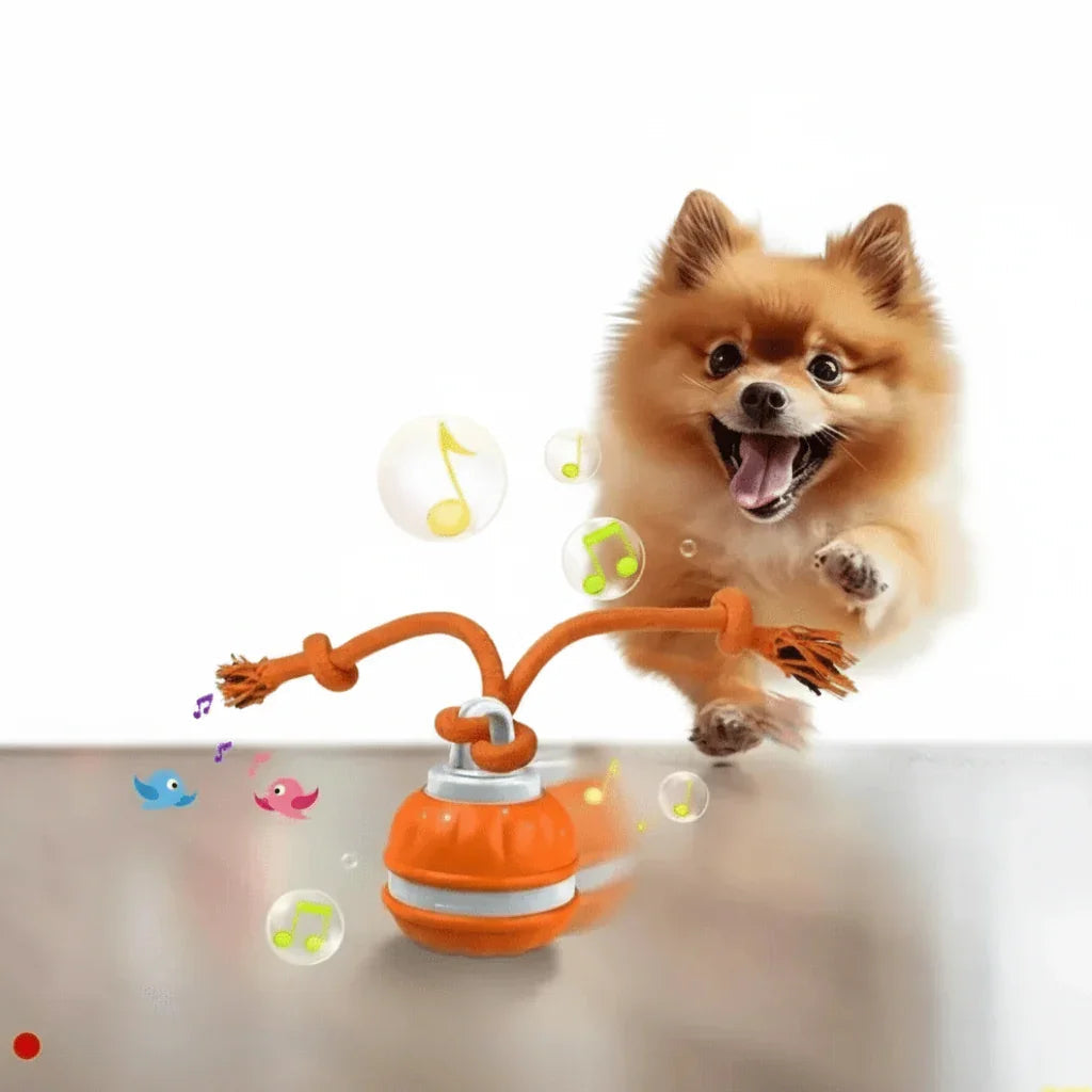 Premium Smart Interactive Pet Ball - PawsiFypets