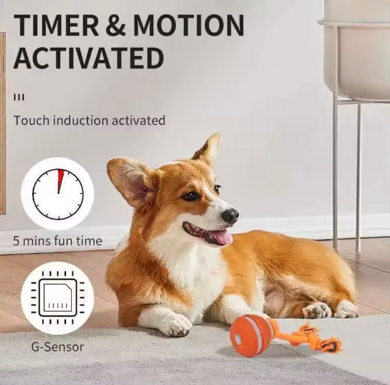 Premium Smart Interactive Pet Ball - PawsiFypets
