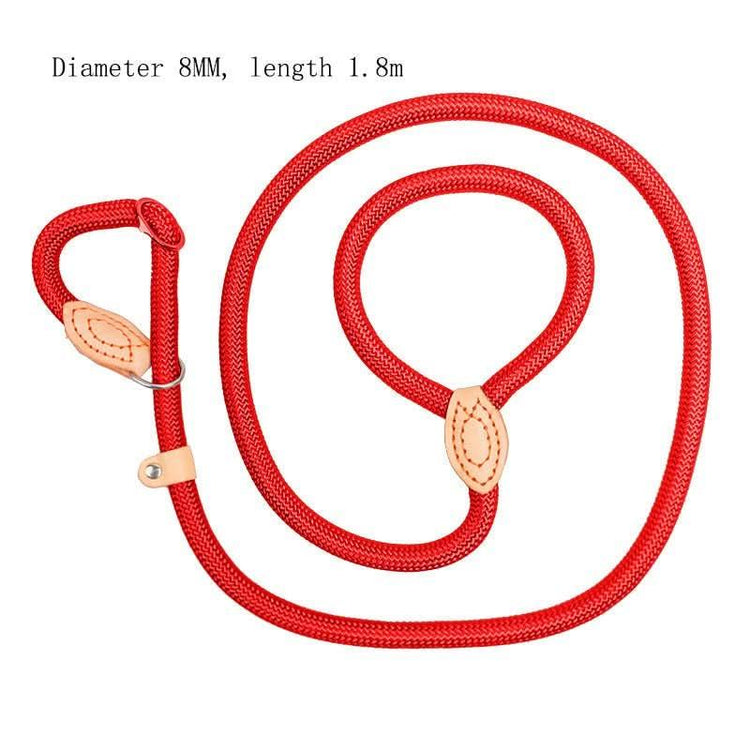 Red rope dog leash and collar set with leather accents, 8mm diameter, 1.8m length
