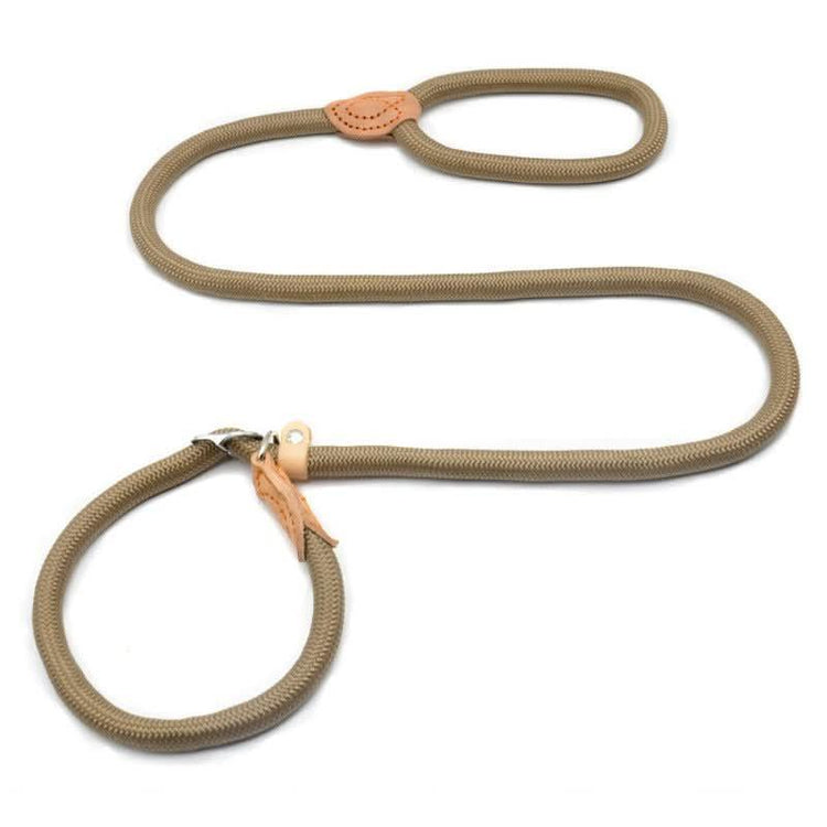 Durable rope dog collar and leash with leather accents on white background