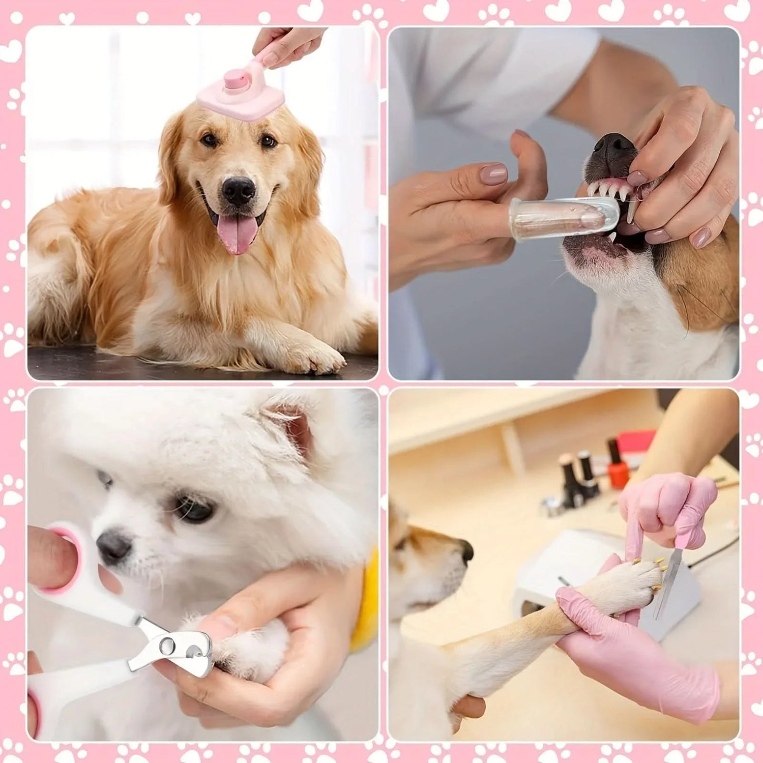Dog grooming kit in use, showing brushing, teeth cleaning, nail clipping, and paw care.