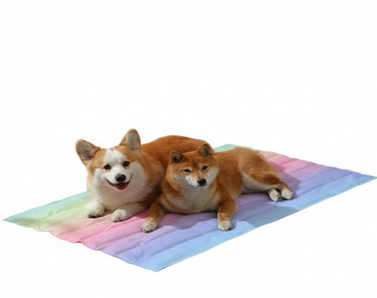 Rainbow Ice Nest Pet Cooling Mat - PawsiFypets