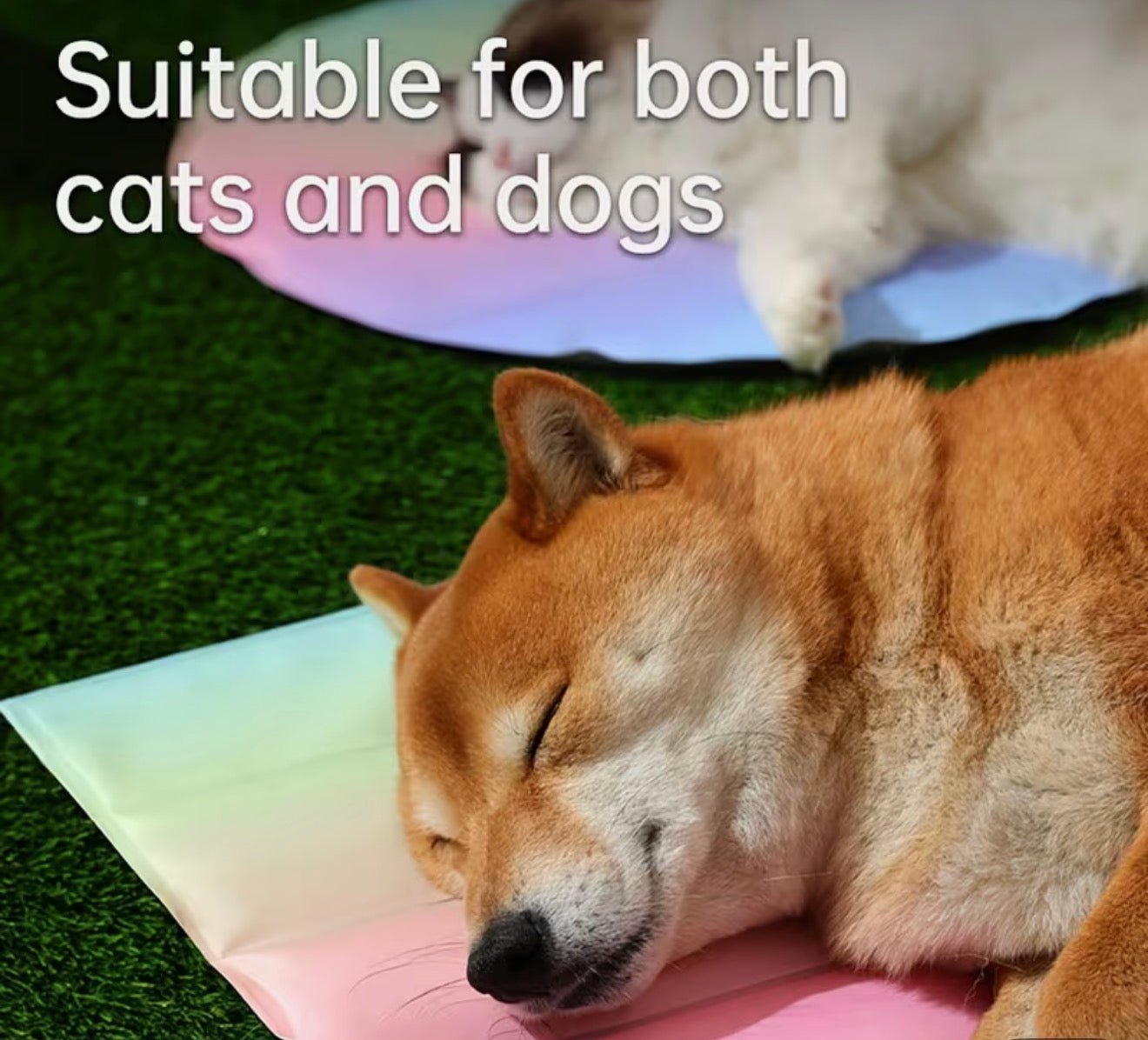 Rainbow Ice Nest Pet Cooling Mat - PawsiFypets