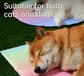 Rainbow Ice Nest Pet Cooling Mat - PawsiFypets