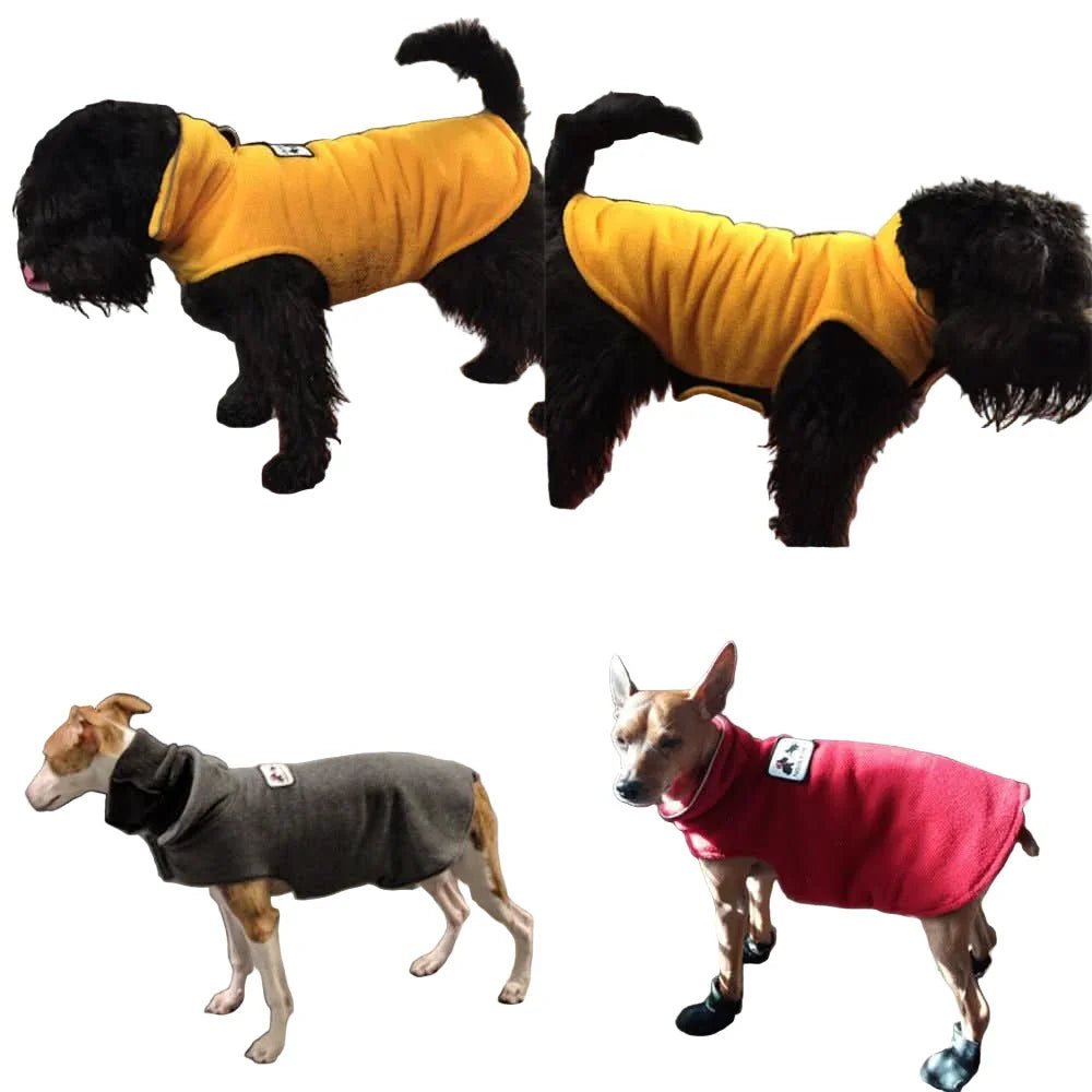 Dogs wearing reversible winter coats in yellow, gray, and red, showcasing cozy pet apparel