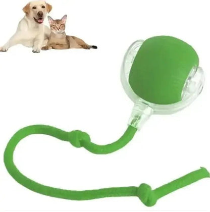 Rope Smart Pet Rolling Ball Toy - PawsiFypets