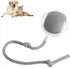 Rope Smart Pet Rolling Ball Toy - PawsiFypets