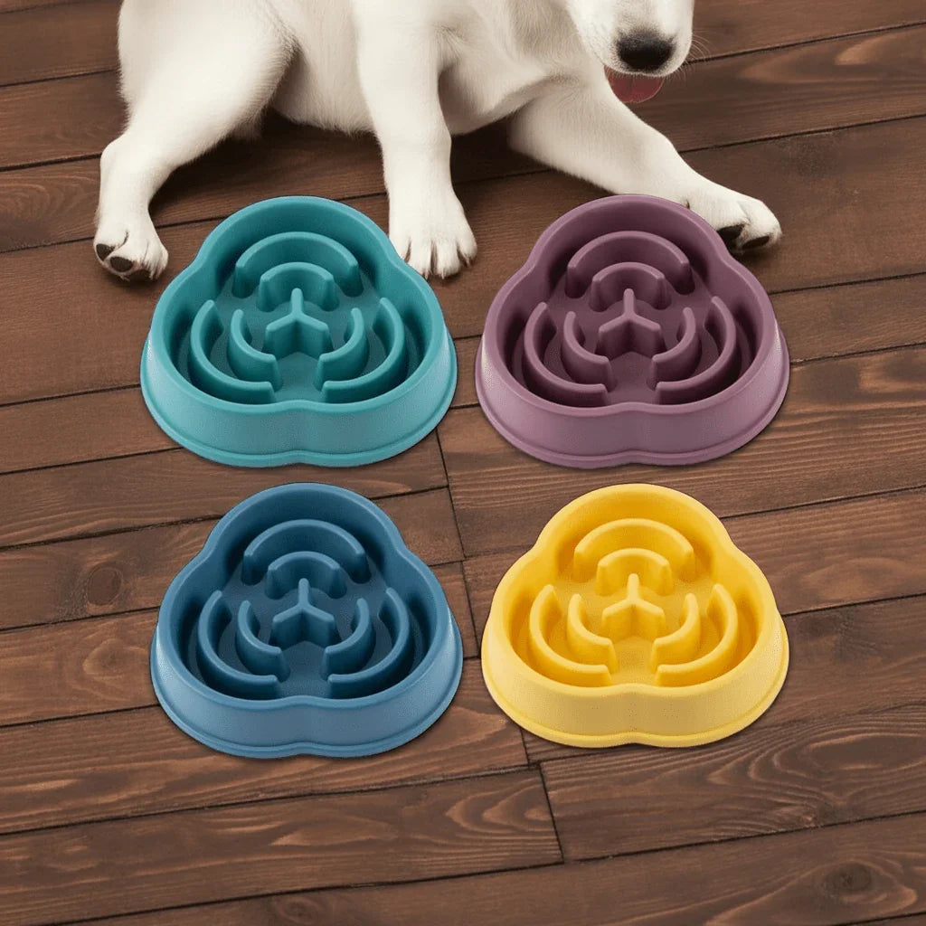 Slow Feeder Dog Bowl - PawsiFypets