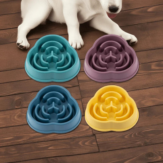 Slow Feeder Dog Bowl - PawsiFypets