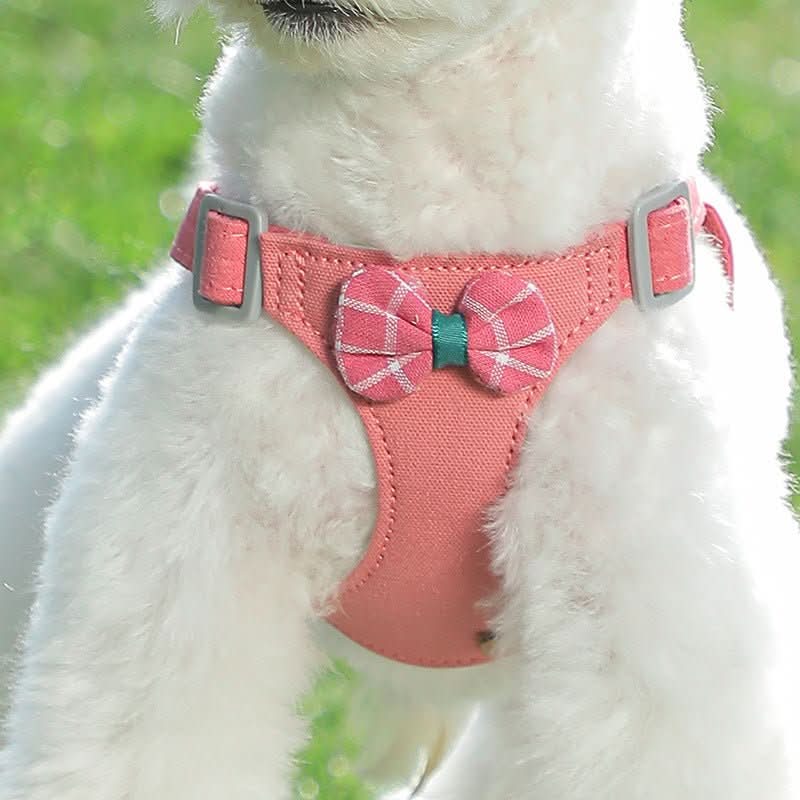 MiniPup Harness & Leash Set - PawsiFypets Pet traveling Essential - Beige Dots Flowers / XS PawsiFypets