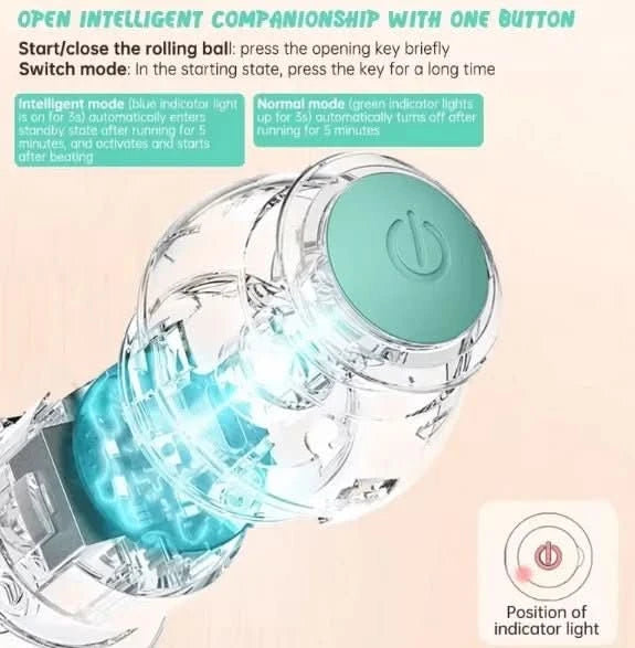 Smart Electric Pet Rolling Ball - PawsiFypets - Pink PawsiFypets
