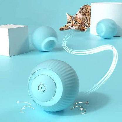 Smart Electric Pet Rolling Ball - PawsiFypets - Pink PawsiFypets