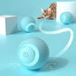 Smart Electric Pet Rolling Ball - PawsiFypets
