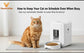 WiFi Smart Pet Feeder with HD Camera & App-Controlled Dispenser, Two-Way Audio - Remote Feeding - PawsiFypets