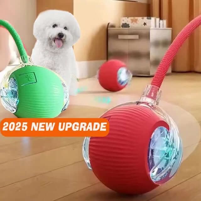 Rope Smart Pet Rolling Ball Toy - PawsiFypets Pet Toys - Gray PawsiFypets