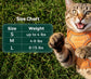 Step-in Escape-Proof Cat Harness Set, Adjustable for Walking for Small Medium Dogs/Cats - PawsiFypets