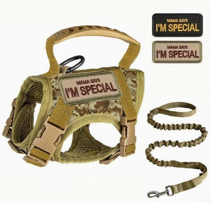 Tactical Cat Chest Harness - Escape - Proof Adventure Vest - PawsiFypets