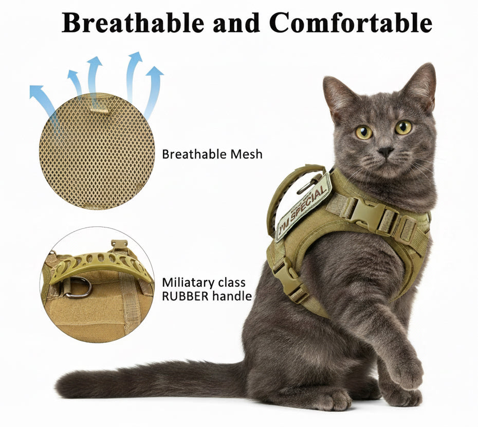 Cat wearing a green tactical harness with text &