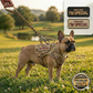 Tactical Cat Chest Harness - Escape - Proof Adventure Vest - PawsiFypets
