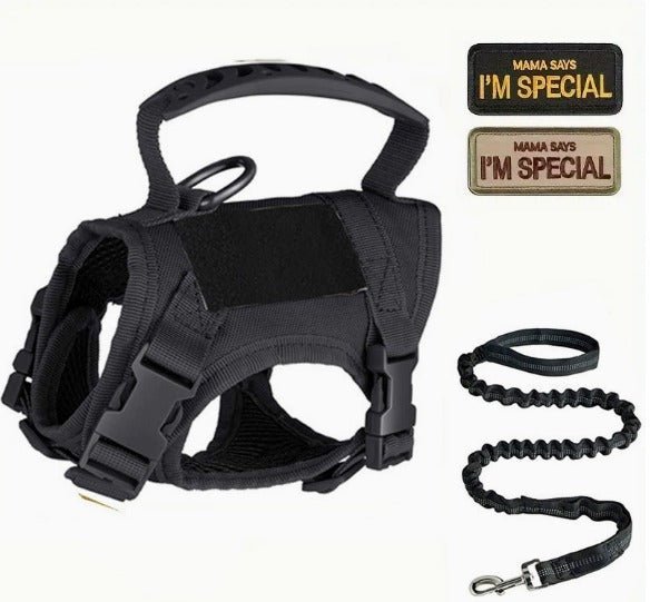 Tactical Cat Chest Harness - Escape - Proof Adventure Vest - PawsiFypets