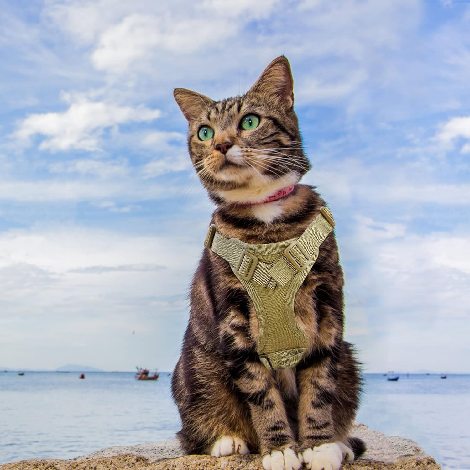 Tactical Cat Chest Harness - Escape - Proof Adventure Vest - PawsiFypets