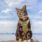 Tactical Cat Chest Harness - Escape - Proof Adventure Vest - PawsiFypets